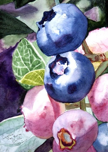 Watercolor Painting Blueberries 3 Blue 4 Pink Print