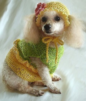 How To Crochet   CROCHET DOG DRESS