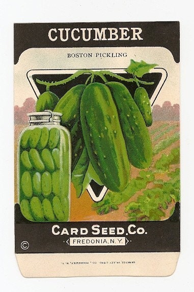 Card Seed Company