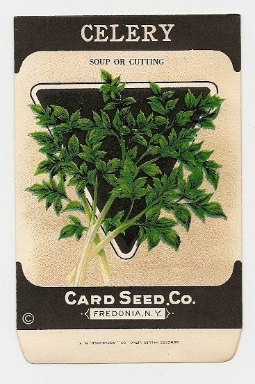 Card Seed Company
