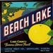 6 Different Old FLORIDA CITRUS CRATE Labels Beach Lake,Ruby,Triangle