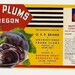 5 Different Old Vintage Salem OREGON Fruit Can Labels CHERRIES,YOUNGBERRIES Etc...