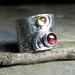 Sterling silver wide band ring with garnet and citrine - Autumn Afternoon