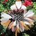 Girls Kitty  Cheetah  Tutu Outfit Size 5-6T