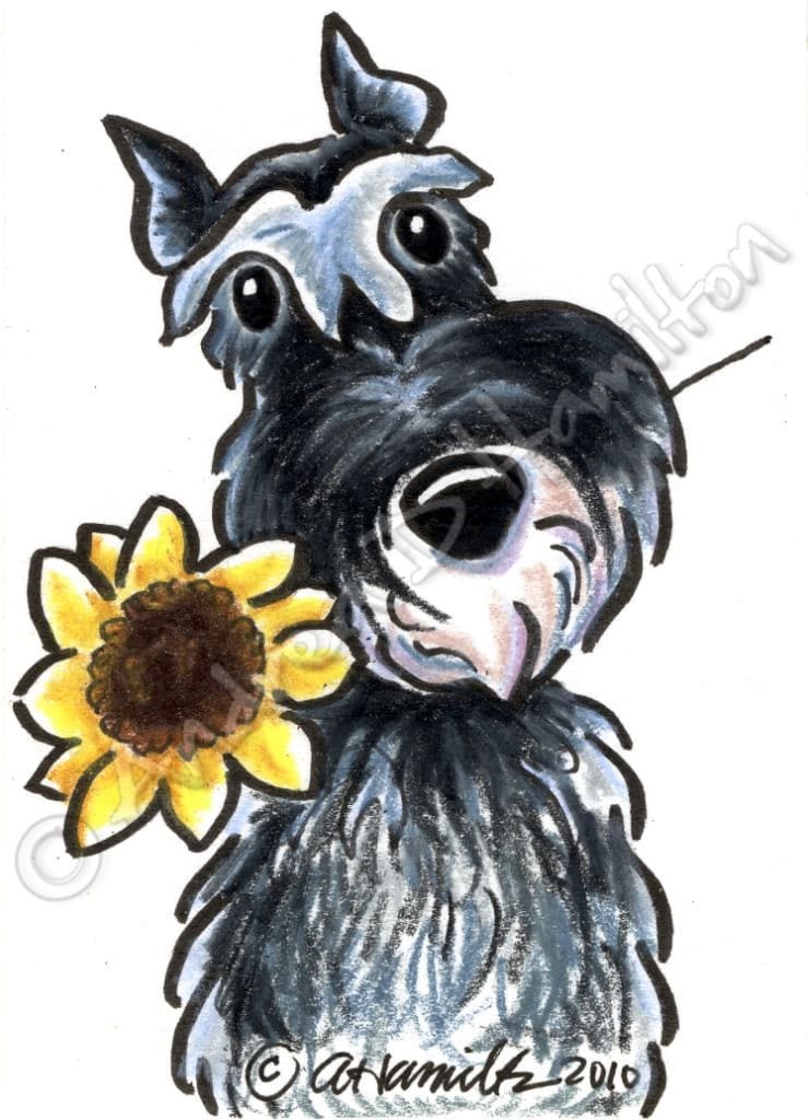 cartoon miniature schnauzer