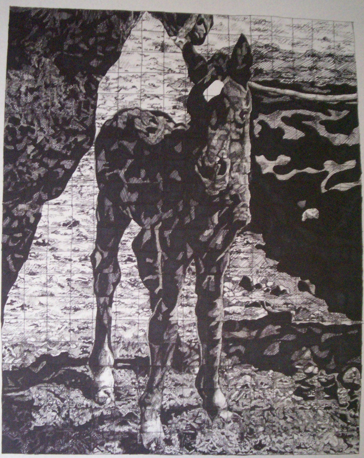 Black Beauty Pony Drawing by Kim Loberg WHOA Team