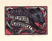 Opossum Linocut Art Print