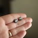 Sea Urchin post earrings