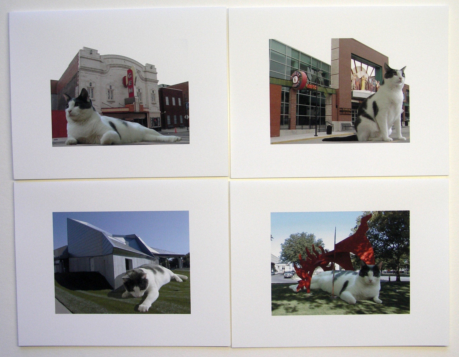 Lilly in Kansas City Notecard Set