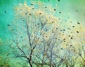 Art Photography - aqua teal blue golden yellow - birds flying blackbirds photograph -  tree branches retro home decor 8x8 - Departing