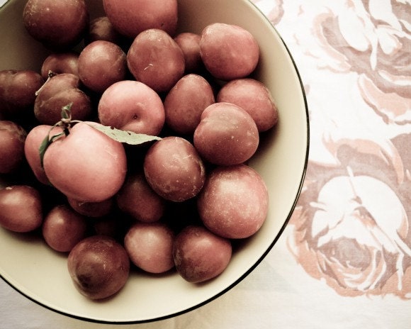 Food photograph  kitchen art plums culinary food lovers mid century decor still life coral red wall art vintage roses plums - 8x10