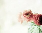 Flower Photography - coral pink flowers mint green wall art white shabby chic decor - floral print - pastel antique 8x10 - Sugar baby