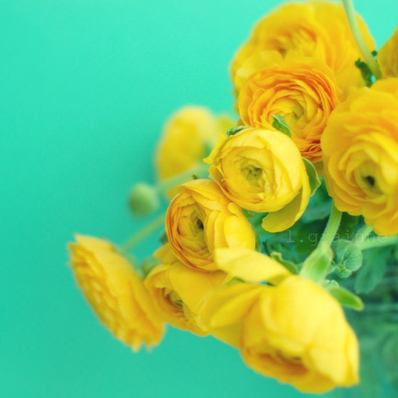 Flower photography - turquoise nursery art - yellow aqua teal photo - photography baby room decor cheerful bright 8x8 - Happy Together