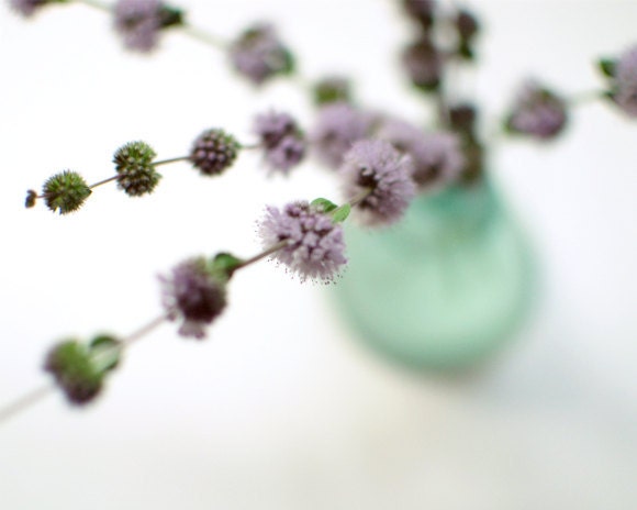 Flower Photography, pale purple, photograph, vintage glass, lavendar, lilac, aqua blue, white, violet wildflowers 8x10 - Pennyroyal