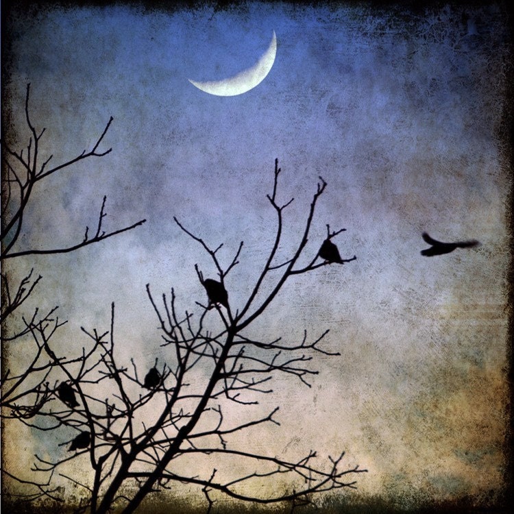 birds crows moon sky flight evening trees winter twilight blue art 8x8 print - Flying into the Night