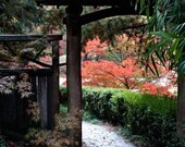 The Garden Path - 16x24 - Fine Art Photograph