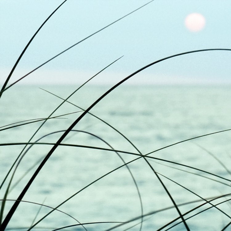 Ocean Photograph, seagrass sea oats summer sun teal mint green - 5x5 - Simplicity