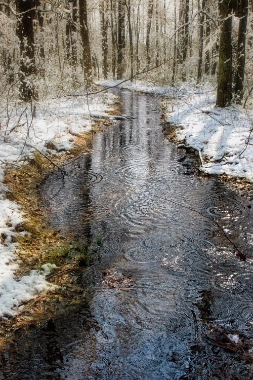 snow winter water stream photograph icy trees woodland forest circles ice  8x12 print - Ripples