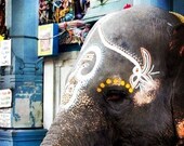 Elephant Wishes - 5x7 Fine Art Print