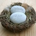 Customized wedding anniversary gift for couple - engraved stones in nest with custom names - Our nest by sjEngraving