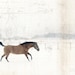 8x12 Rodeo