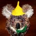 Koala Hat ,Puppet and Sculpture, Unique and Very Very Warm