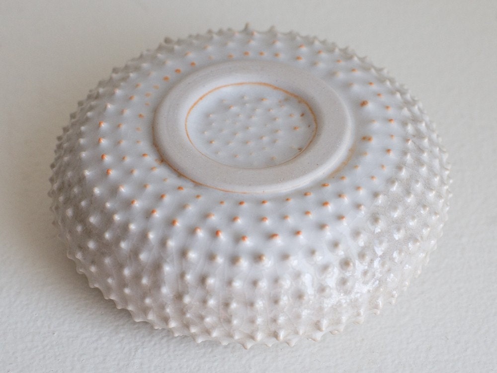 SALE Porcelain Urchin Bowl, Medium