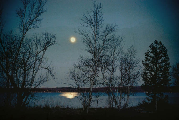 indigo blue print tree print . night time nature photography . moon photo . nursery art . landscape photograph . TAG . Spirit of the Night - joystclaire