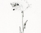 Drawing of a Flower, Black and White Artwork, Limited Reproduction, Best Friends in the Garden