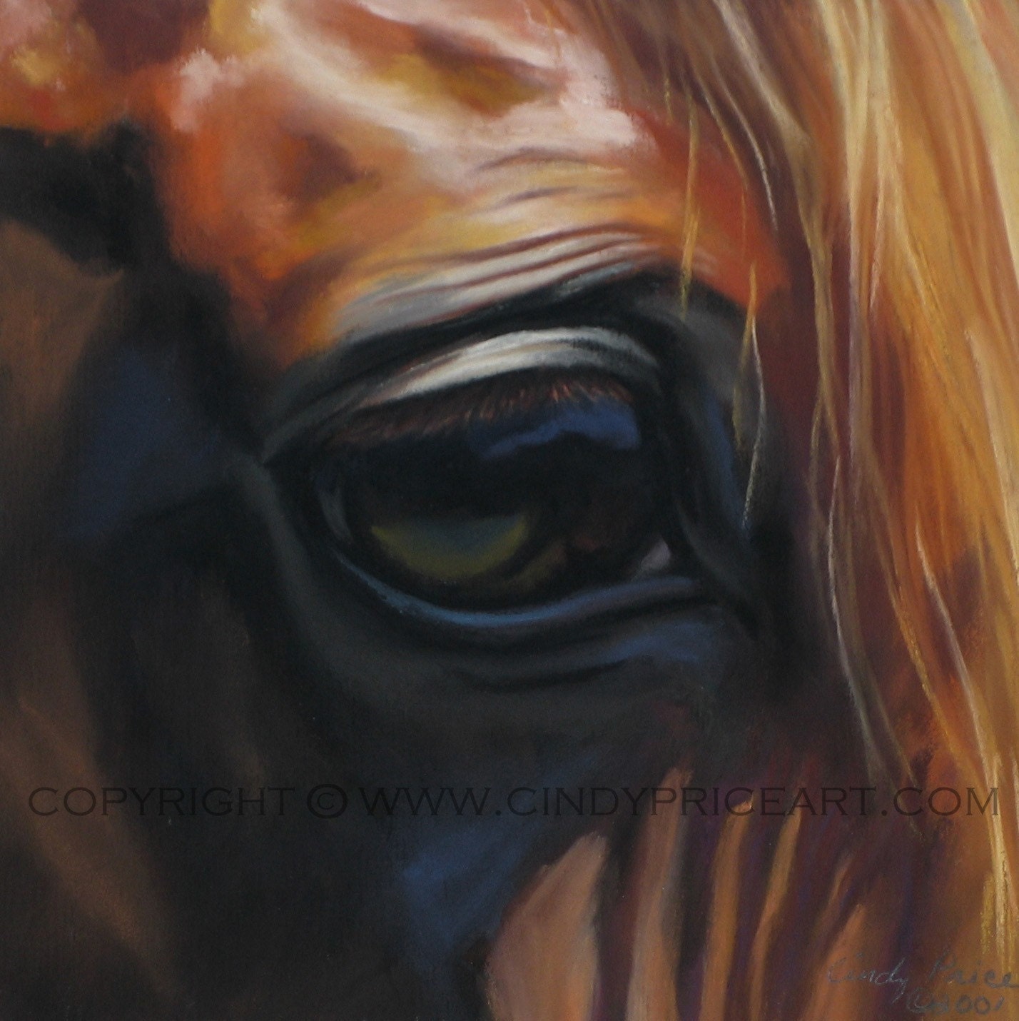horse eye paintings