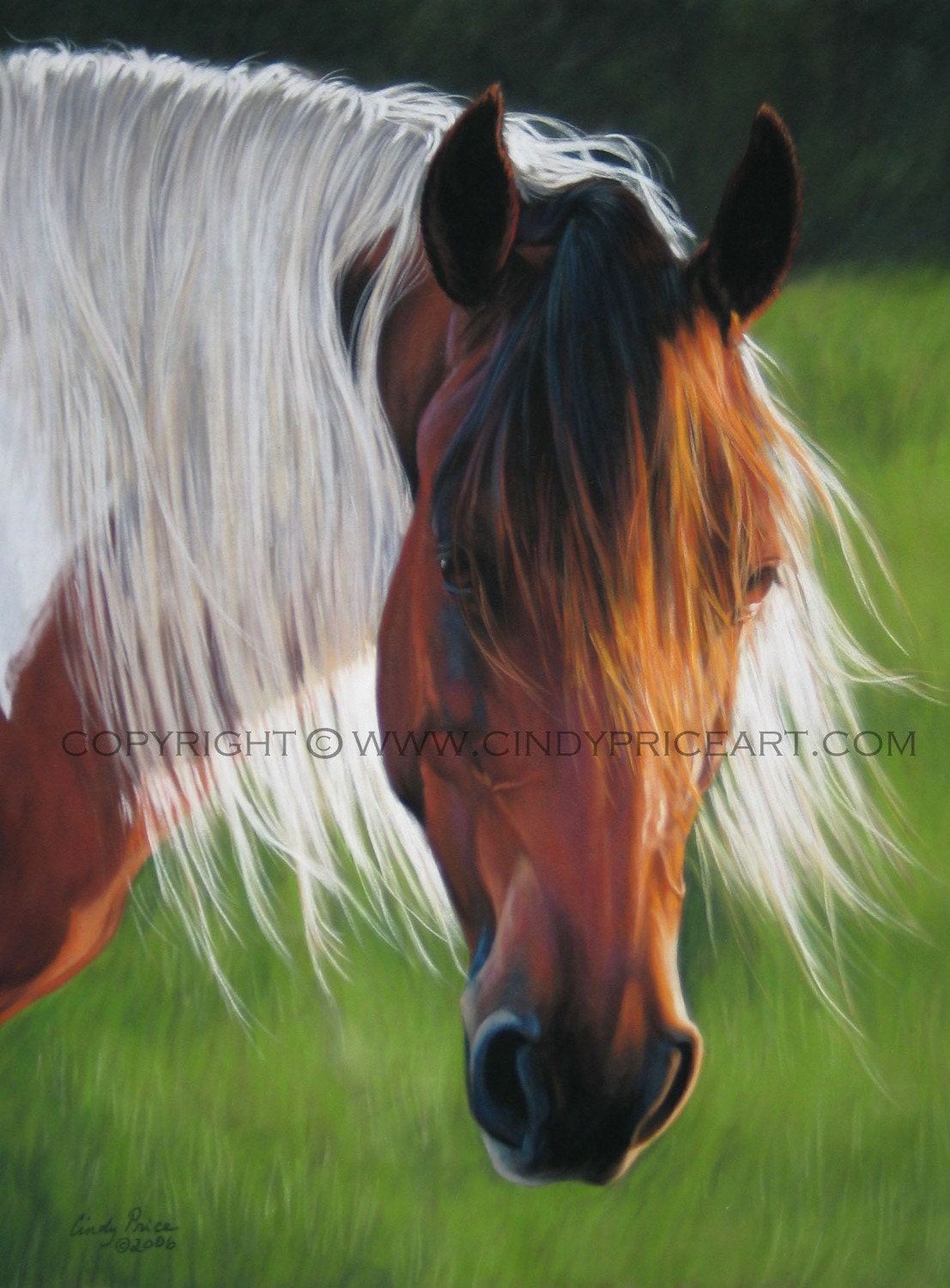 Pinto Paint Horse