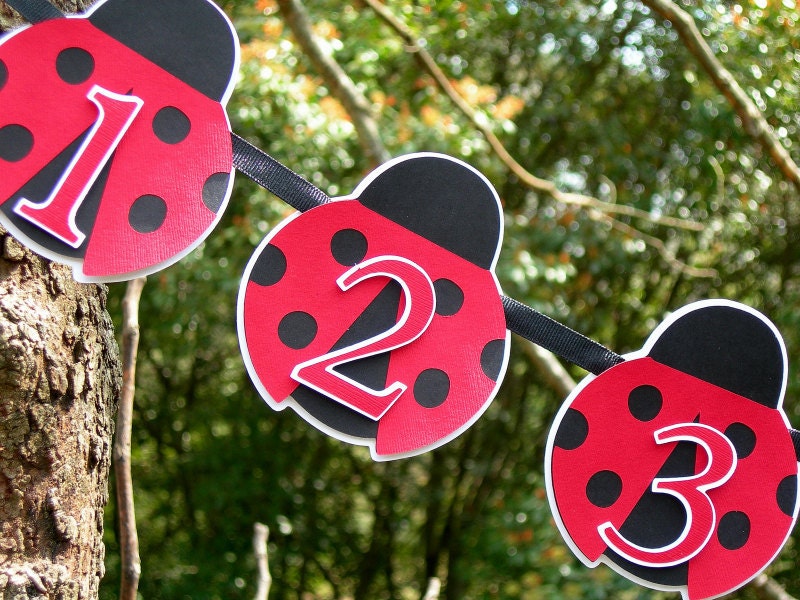 The First Year Ladybug Photo Banner MADE TO ORDER