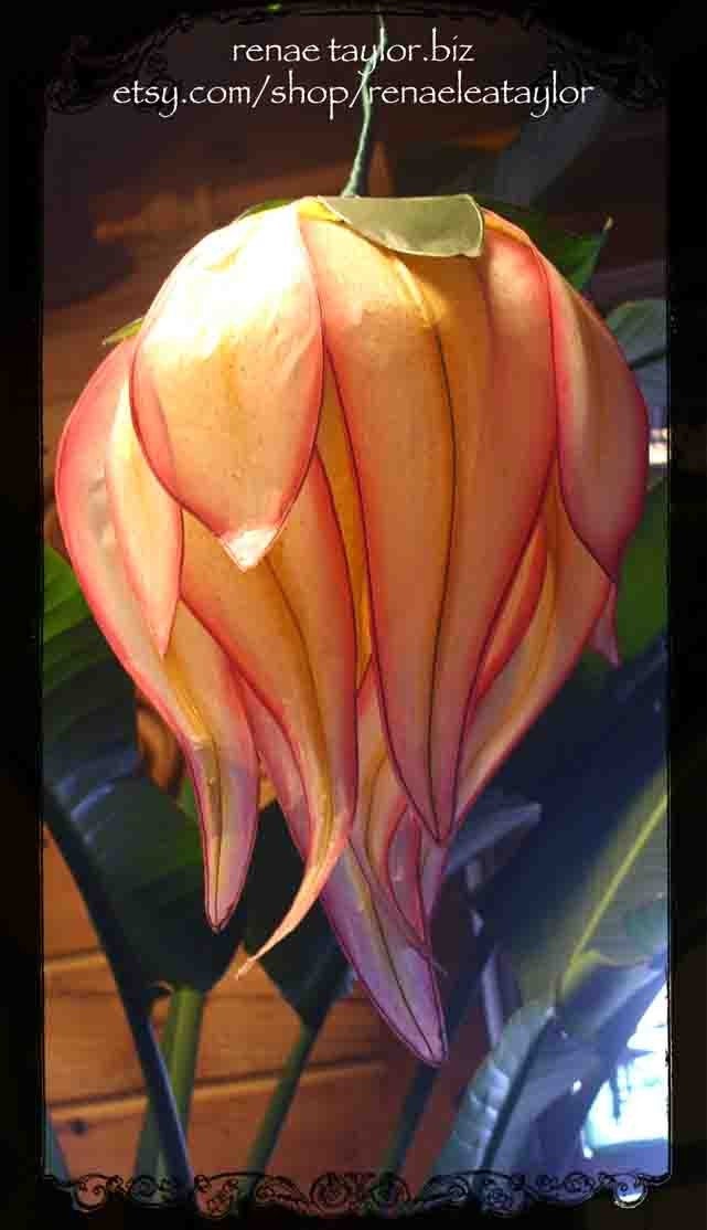 Large Pink and Yellow Lily inspired Paper Flower Luminaire (Lamp) By Renae Taylor
