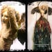 Moresca Angel Art Doll