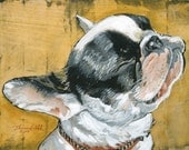 French Bull Dog (Large)