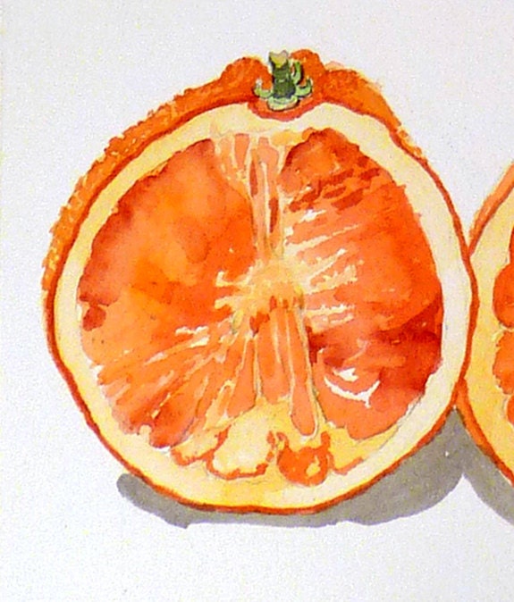 Art a Watercolor Juicie Orange for Lunch Fruit Apartment Autumn Dorm Print Women Men Orange Halves Sweet and Delicious Price Under 25