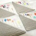 Coaster Textile Fabric Hand Embroidery  how does your garden grow