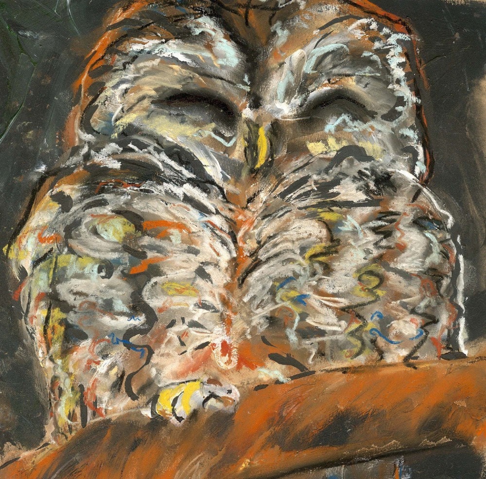 owl art print - still dreaming - 8X10 print