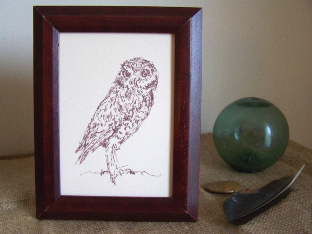 burrowing owl - 5X7 line drawing art print