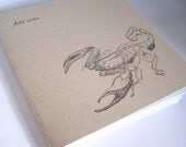 scorpion notebook - field notes for the naturalist