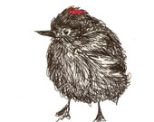 bird art - ruby crowned kinglet - 4X6 print