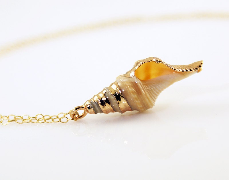 Gold Trimmed Seashell Pendant - 14k Gold - missashleylu
