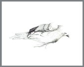 Seis dream  Print 6x8 inches