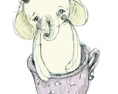 Mia Baby, print 4x6