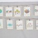 Nature Themed Counting Number Cards in English