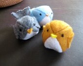 DeeDee: a songbird for Spring