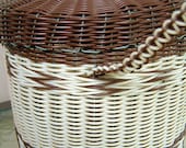 Wire and Plastic Woven Basket