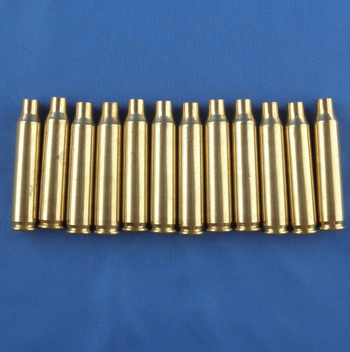 Brass Shell Casings