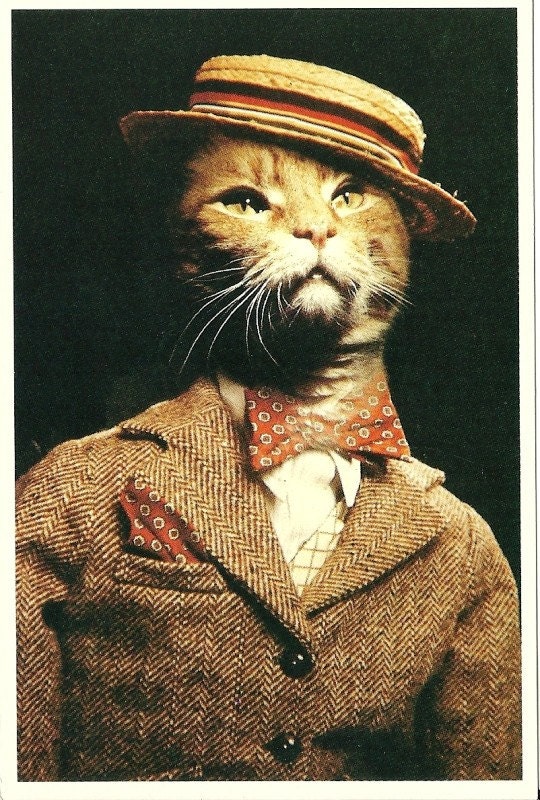 1982 Alfred Gescheidt Cat Postcard, American Cat Card, Kitten, Meow, Barber Shop Cat, Bow Tie Kitten, Classy Cat