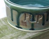 Ready to Ship Pet Food Dish Mossy Peacock